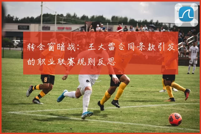 转会窗暗战：王大雷合同条款引发的职业联赛规则反思