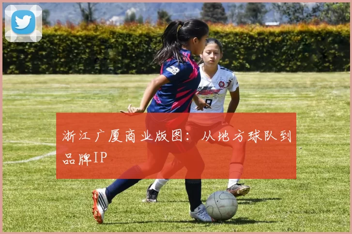 浙江广厦商业版图：从地方球队到品牌IP