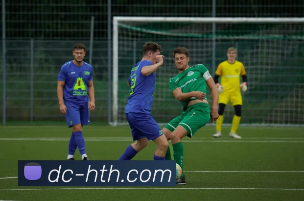 App Interface Preview